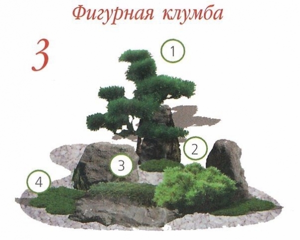 Клумбы с хвойными растениями! Клумбы с хвойными растениями!