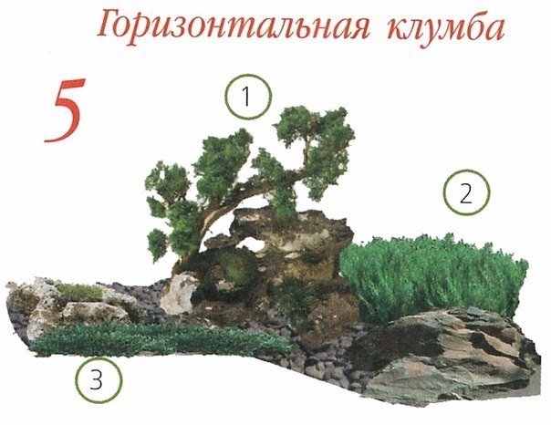Клумбы с хвойными растениями! Клумбы с хвойными растениями!