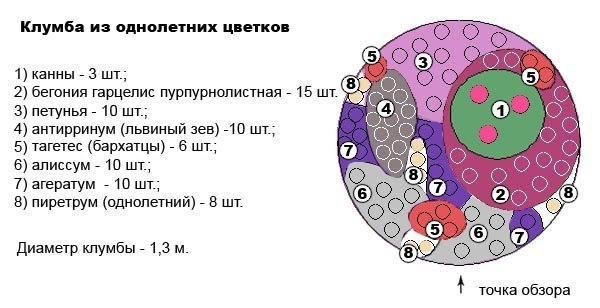 Клумба из однолетников Клумба из однолетников