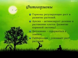 Делаем ростостимулирующий раствор для растений. Делаем ростостимулирующий раствор для растений.