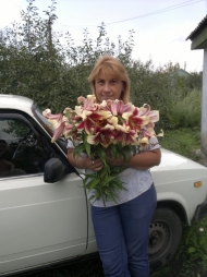 Синица