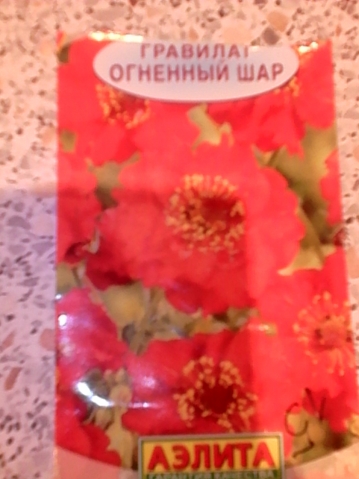 гравилат