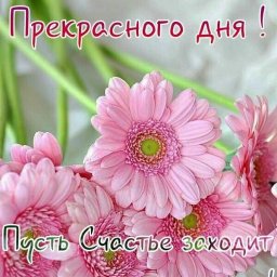 Вера Ивановна